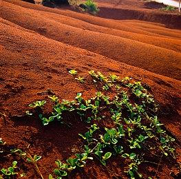 《绯红结系》上市一周年 官方公特别宣传影片