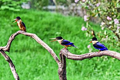 高能电玩节：《孙美琪疑案：雨儿胡同》首支预告公开